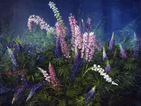 Пазл Люпины