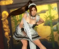 Пазл Mai Shiranui