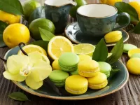 Пазл Макарон и цитрусы