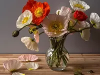 Пазл Маки в вазе