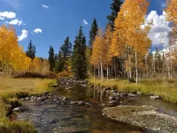 Пазл Маленькая речка