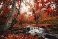 Пазл Маленький водопад