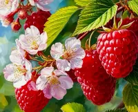 Пазл Малина 