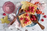 Пазл Малина и рябина
