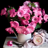 Пазл Мальва