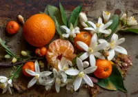 Пазл Мандариновая ветка