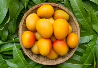 Пазл Манго и листья