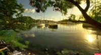 Пазл маркитанская лагуна