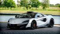 Пазл McLaren