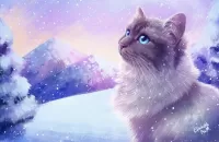 Пазл Мечтательный взгляд
