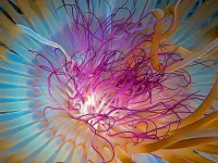 Пазл Медуза