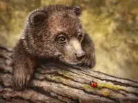 Пазл Медвежонок