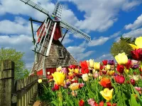 Пазл Мельница