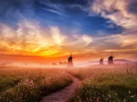 Пазл Мельницы на рассвете