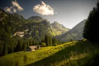 Пазл Место под солнцем