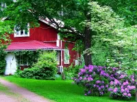 Пазл Милый дом