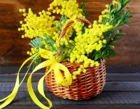 Пазл Мимоза