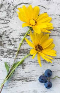 Пазл Минимализм