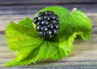 Пазл Минимализм