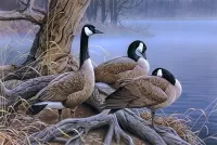 Пазл Минуты отдыха