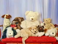 Пазл Мои друзья