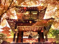 Пазл Momiji Inubashiri