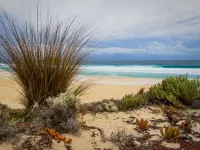 Пазл Море пляж