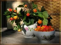 Пазл Морошка