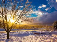 Пазл Мороз и солнце 