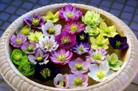 Пазл Морозник