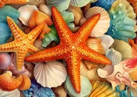 Пазл Морская звезда 