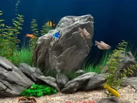 Пазл Морское дно