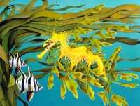 Пазл Морской конёк