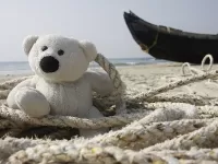 Пазл Морской медведь