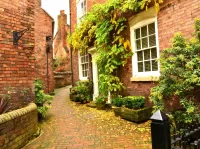 Пазл Мощеный дворик