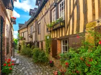 Пазл Мощеный переулок