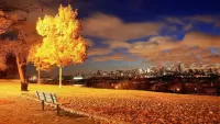 Пазл Московская осень