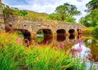 Пазл Мост через Дрипси