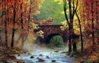 Пазл Мост в лесу