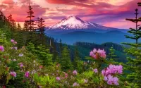 Пазл Mount Rainier National Park