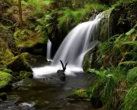 Пазл Moussey-Praye