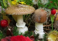 Пазл Мухоморы