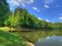 Пазл На берегу