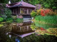 Пазл На берегу пруда