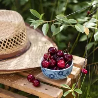 Пазл На даче