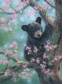 Пазл На дереве