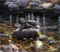 Пазл На камне