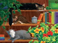 Пазл На книжной полке