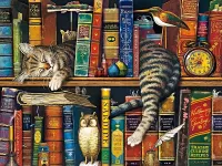 Пазл На книжной полке