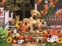 Пазл На крыльце